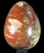 Giant Polished Petrified Wood Egg - Lbs #90431-1